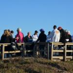 Cambria_0194 (November 03, 2012)